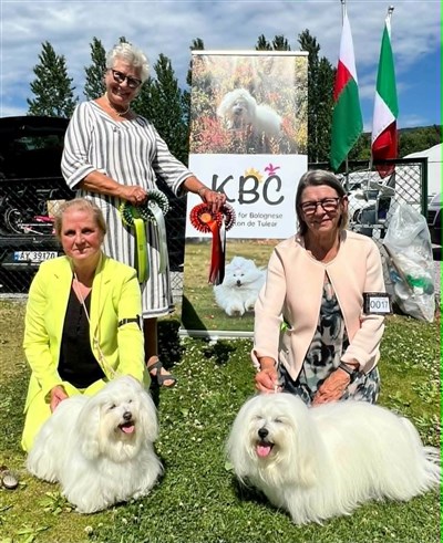 Freja och Frippe BIR o BIM o BIR o BIM Veteran