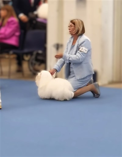 Lovis Excellent WDS Helsinki 2025 