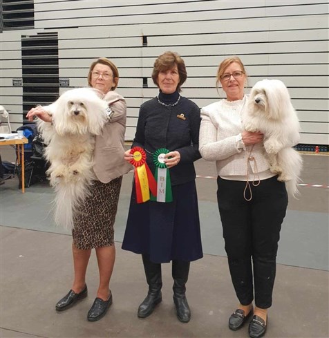 Frippe BIR SDHK S&ouml;dert&auml;lje 250215